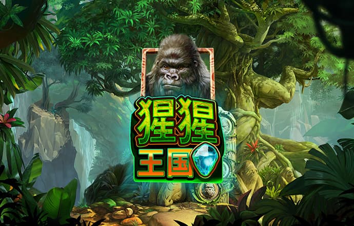 开心100彩票官网